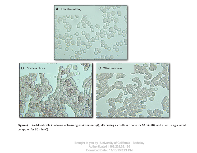 screenshot of a study showing red blood cells under different conditions