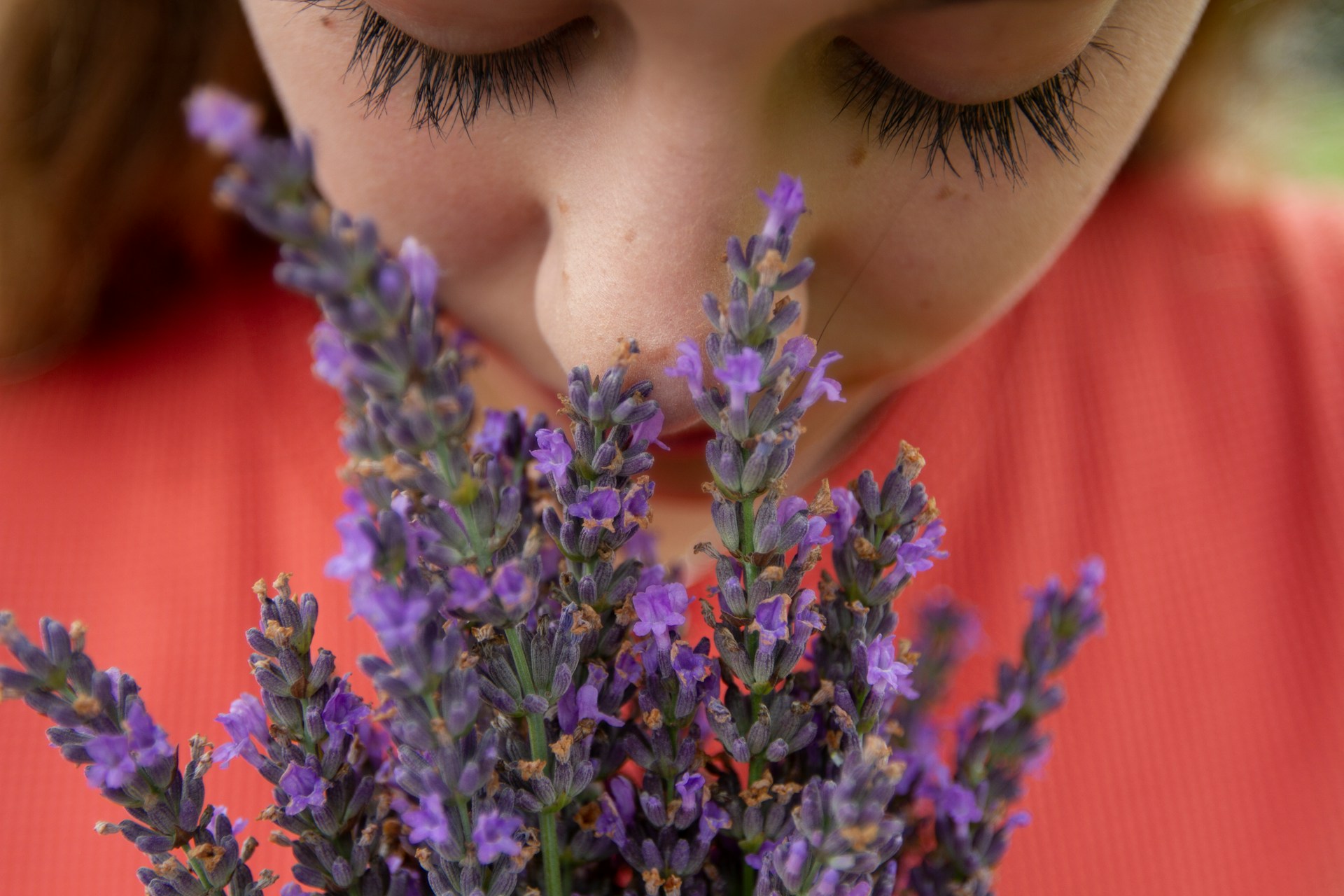 girl thoughtfully smelling a bushel of lavender.